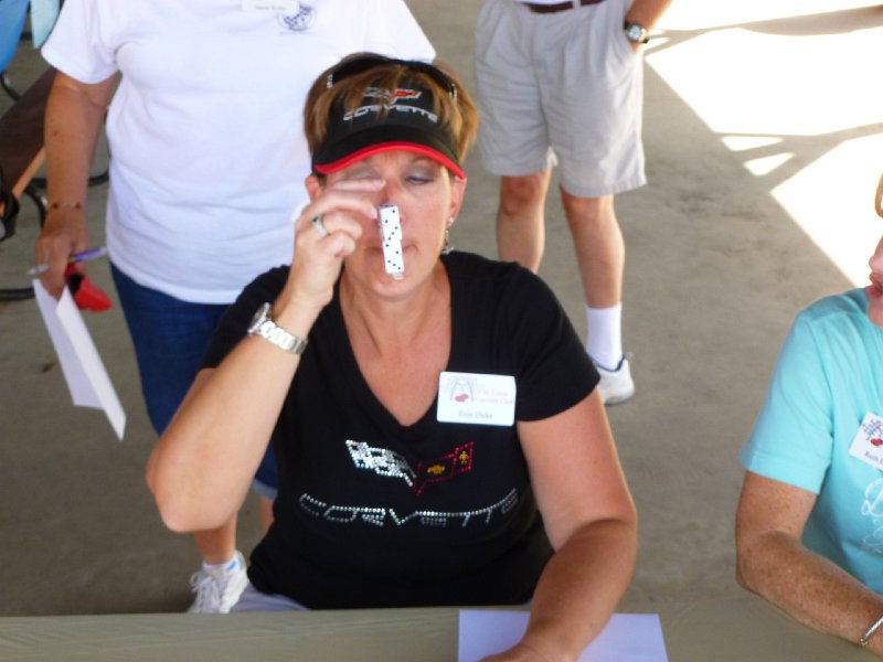 STLCC PICNIC SEPT 2014 159